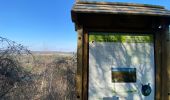 Tour Wandern Anthisnes - Anthines - AS03 - Boucle de Tolumont - Losange Bleu - Photo 11