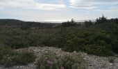 Tocht Mountainbike Frontignan - pioch de la barre - Photo 2