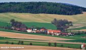 Tour Zu Fuß Zobten am Berge - Strzeblów - Jordanów Śląski - Photo 7