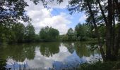Tour Wandern Aix-Villemaur-Pâlis - Villemaur sur Vanne - Photo 4