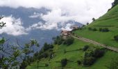 Tour Zu Fuß Partschins - Sagenweg - Photo 4