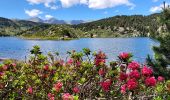 Trail Walking Font-Romeu-Odeillo-Via - Lacs infér. des Bouillouses  - Photo 3