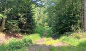Trail Walking Spa - artistes . nelis . geronster . meyerber . artistes  - Photo 13