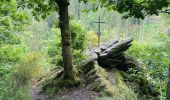 Trail Walking Monschau - Tour de Monschau 20Km - Photo 6