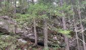 Randonnée Marche Corrençon-en-Vercors - Cabane de Carrette - Photo 3