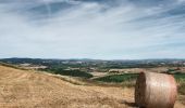 Trail On foot Montalcino - IT-PVO3 - Photo 4