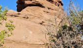 Trail Walking Unknown - 2024 Arches NP Délicat Arch - Photo 3