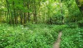Trail Walking Gerpinnes - Balade dans le bois de Loverval - Photo 9