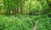 Percorso Marcia Gerpinnes - Balade dans le bois de Loverval - Photo 9