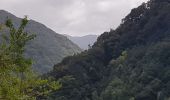 Excursión Senderismo Porto Moniz - Gorge de la Ribeira da Janela et sa belle cascade (Rother n°60) - Photo 6
