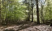 Trail Walking Spa - spa de la ville a la fagne - Photo 8