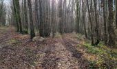 Tour Wandern Marcilly-en-Beauce - Varennes - Photo 14