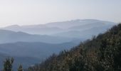 Trail Walking Chaudebonne - la serre de créma  - Photo 8