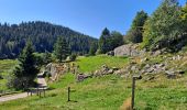 Randonnée Marche Soultzeren - Lac Vert, lac du Forlet - Photo 2