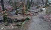 Tour Wandern Jalhay - Solwaster-Statte-Hoegne - Photo 11