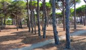 Trail Walking Saint-Cyprien - st cyprien de merde - Photo 1