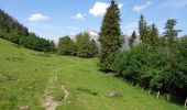 Randonnée Marche Cauterets - Plateau du Lisey - Photo 5