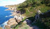 Trail Walking Douarnenez - Douarnenez - GR34 AR les Roches Blanches Pointe de la Jument  - 9.3km 250m 3h30 - 2019 09 01 - Photo 6