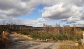 Tour Wandern Malmedy - malmedy . ferme libert .  tro maret . ferme libert . malmedy par les crêtes  - Photo 8