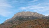 Trail Walking Hautes-Duyes - AURIBEAU,  Champ de Barras . col d Ainac o l s - Photo 10