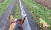 Trail Horseback riding Saint-Martin - Vendredi 23 février 24 Tivio  - Photo 7