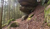 Trail Walking Lutzelbourg - Sentier des roches de Lutzelbourg - Photo 19
