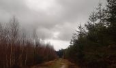 Trail Walking Ferrières - dans les pas de Saint Roch - Ferriere - Photo 12