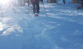 Randonnée Raquettes à neige Colmars - LAUPON 23.02.19 - Photo 15