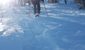 Excursión Raquetas de nieve Colmars - LAUPON 23.02.19 - Photo 15