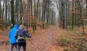 Trail Walking Libin - Ochamps, la Lesse 1 - Photo 1