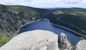 Tour Wandern Urbeis - Tour de lac Noir et du Lac Blanc  - Photo 3