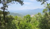 Tocht Stappen Sant Ferriol - besaliu 190724 - Photo 10