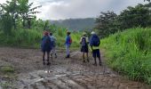 Excursión Senderismo Le Lorrain - Rando Bananeraie La Rougerie - Photo 18