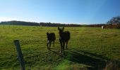 Tour Wandern Charentilly - Charentilly - PR la Choisillette avec variante - 9km 100m 1h50 - 2020 11 28 - Photo 1