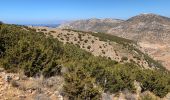 Trail Walking Καμάρες - Kamares 2 - Photo 2