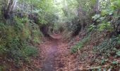 Trail Walking Fougères - GR_37_AF_20_Fougeres_Chapelle-Janson_20210619 - Photo 1