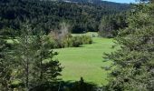 Randonnée Marche Andon - Andon - Pk Pont du Loup - Le Castellaras - Château des 4 Tours - Photo 13