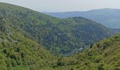 Tour Wandern Stoßweier - Sentier des roches, hohneck, schiessrothried - Photo 4