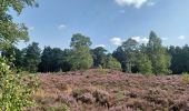 Trail On foot Waverley - Heathland Hike - Photo 3