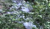 Trail Walking Bagnères-de-Luchon - descente Campsaure avec Aless  - Photo 3