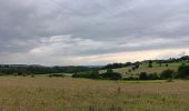 Trail Walking Aywaille - Le tour de septroux - Photo 11