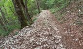 Trail Walking Chézery-Forens - etape 22 Menthières Bellegarde - Photo 4
