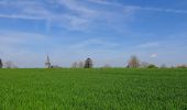 Tocht Stappen Sombreffe - Marche Adeps à Tongrinne - Sombreffe - Photo 11