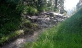 Trail On foot Laax - Larnags-Runca-Flims - Photo 8