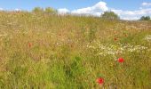 Trail Walking Dossenheim-sur-Zinsel - Le Bastberg depuis Dossenheim-sur-Zinsel - Photo 2
