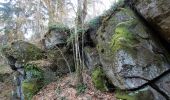 Excursión Senderismo Libin - VILLANCE ... par l'ancien Moulin de Wézelvaux. - Photo 7