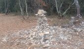 Tour Wandern Montfort - PEYRUIS . TROU DE L HERMITE . LA LOUVIERE . LE LAVOIR DE PLEINDIEU . CHAPEL S MADELEINE O L S  - Photo 14