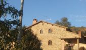 Tocht Te voet Arezzo - IT-549/B - Photo 2