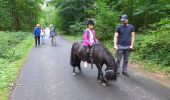 Percorso A piedi Unknown - Hardter Wald 2 - Photo 1