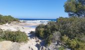 Percorso Bici ibrida Saint-Florent - piste plage depuis St Flo - Photo 1